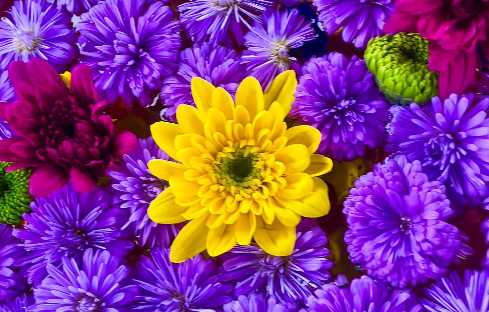 神無月花手水