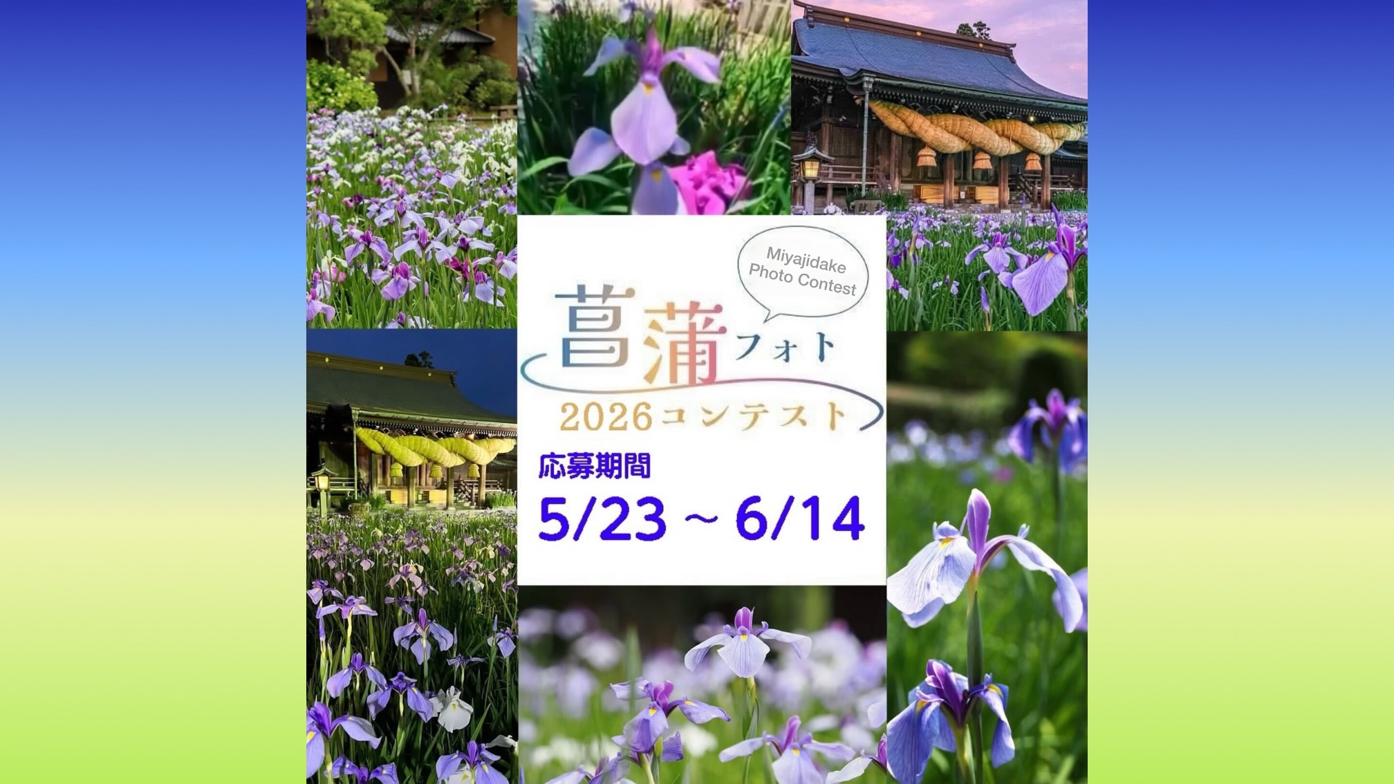 宮地嶽神社 菖蒲まつりInstagramフォトコンテスト2026